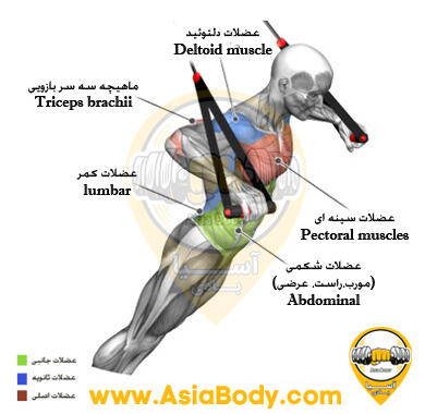 آموزش حرکت پرس بالا سینه TRX