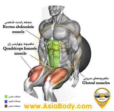 اسکوات دیوار با توپ