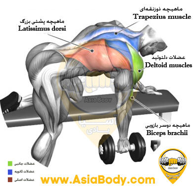 زیر بغل دمبل تک خم