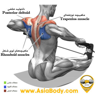 زیر بغل قایقی با کش