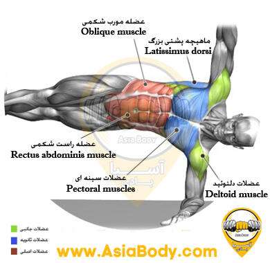 آموزش حرکت ساید پلانک با چرخش TRX