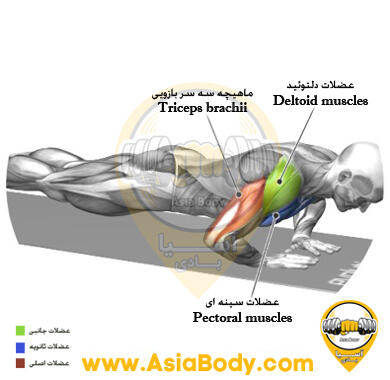 شنا الماسی