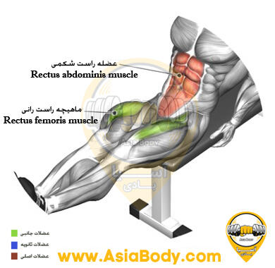 شکم کشویی با میز