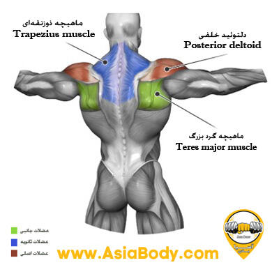 فلای سرشانه با سیم کش از بالا