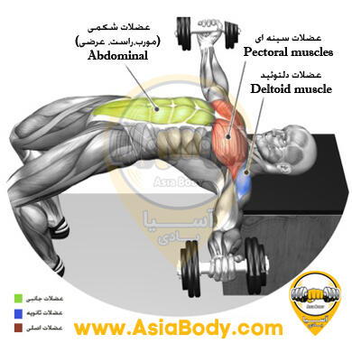 قفسه سینه دمبل روی باکس