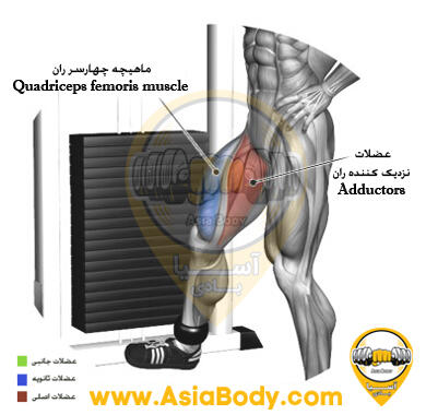 نزدیک شونده (خیاطه) ایستاده سیمکش