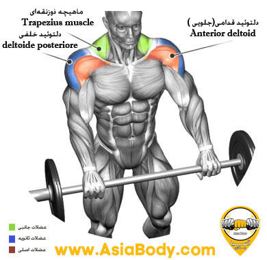 نشر از جلو با هالتر