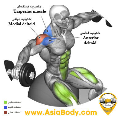 نشر جانب نشسته روی توپ
