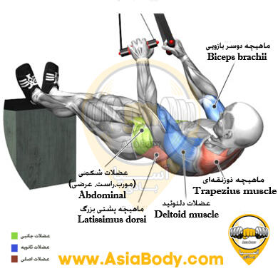 پارویی (پیشرفته) روی باکس TRX