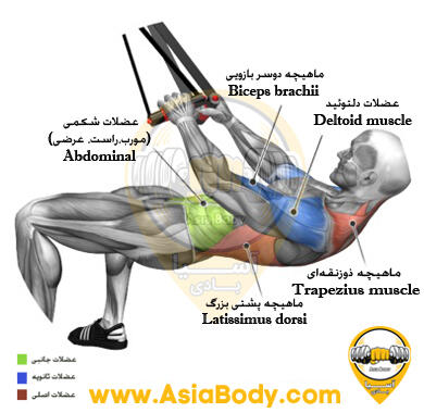 پارویی (پیشرفته) TRX