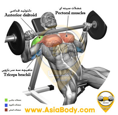 پرس بالا سینه اسمیت