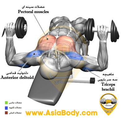پرس زیر سینه دمبل