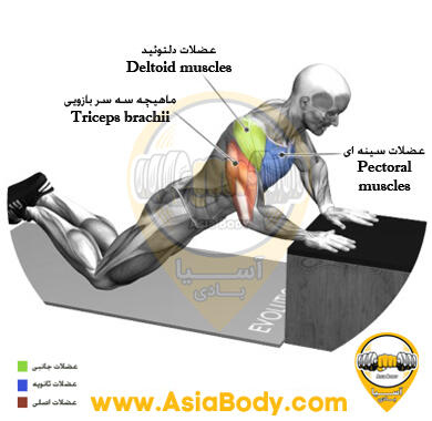 پشت بازو روی باکس