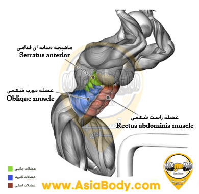 کرانچ سیم کش نشسته