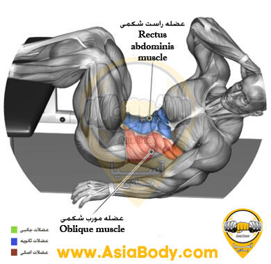 کرانچ مورب دراز کش پا روی میز