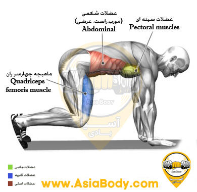پلانک 4 سر (Quadruped)
