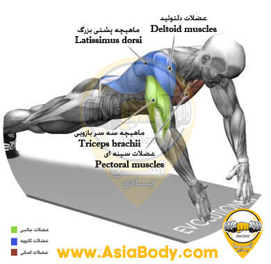 شنا سوئدی انفجاری 1