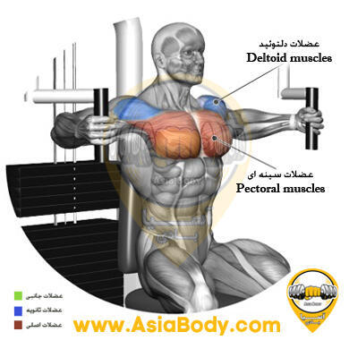فلای ماشیندستگاه قفسه 1