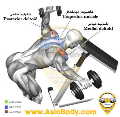نشر خم سر ردی میز 2