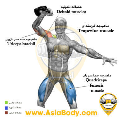 پرس سرشانه کتل فشاری تک دست 1
