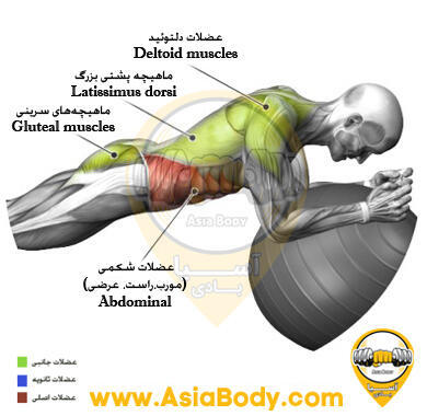 پلانک آرنج روی توپ
