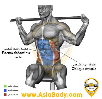 چرخش کمر با چوب روی میز