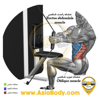 چرخش کمر نشسته کابل ماشین