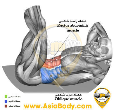 کرانچ دراز کش پا راست عمودی 1