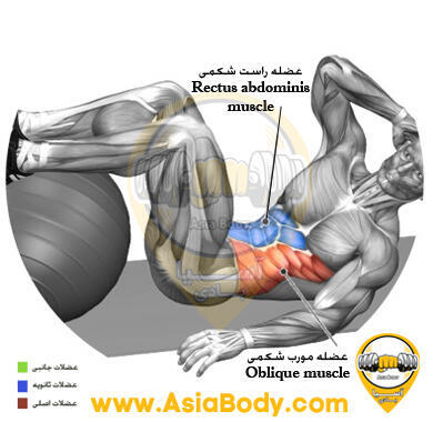 کرانچ موربی روی توپ 1