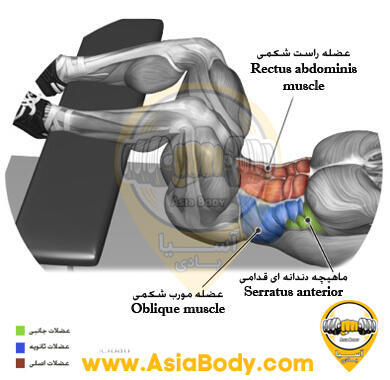 کرانچ پا روی میز 1