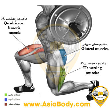 اسپلیت اسکوات هالتر Split Squat 1