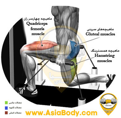  اسپلیت اسکوات کابل ماشین Split Squat
