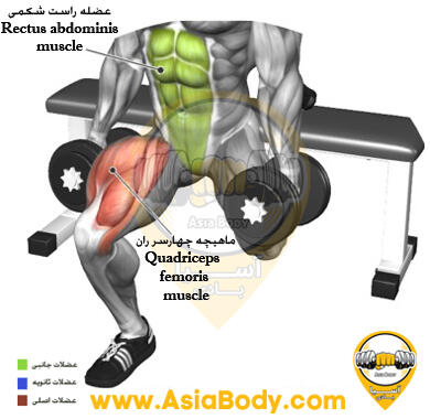 اسکوات بلغاری جفت دمبل 3