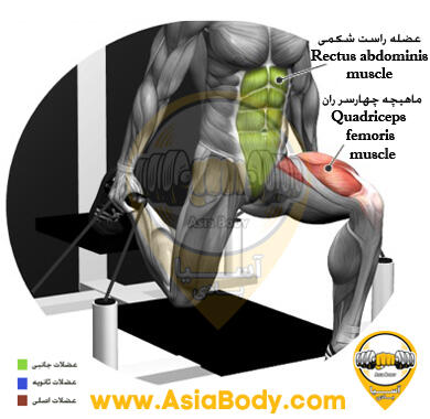 اسکوات بلغاری کابل ماشین 3