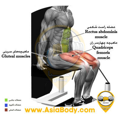 اسکوات سیم کشکابل ماشین کمکی با میز 