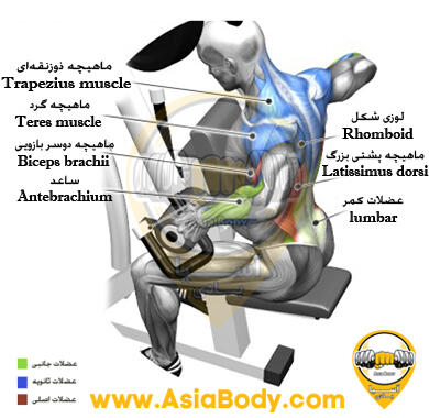 اچ دستگاه وزنه ازاد
