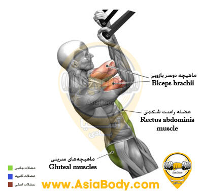 جلو بازو حلقه ای Trx 2