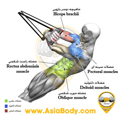جلو بازو کلاچ Clutch Trx 2