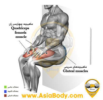 Wall Squat Isometric اسکوات دیوار ایستا 3