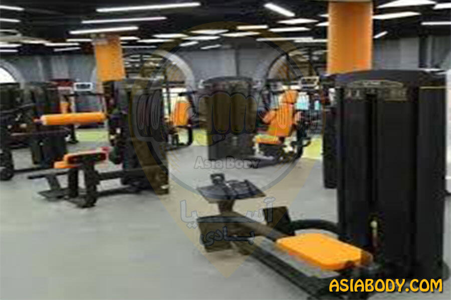 باشگاه راویس