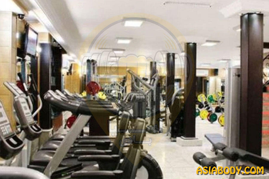 باشگاه پانیک