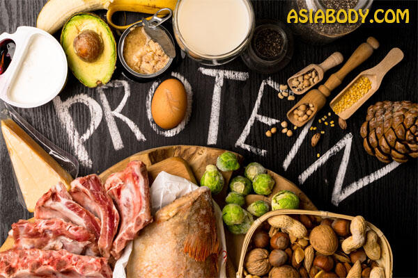 Protein پروتئین 
