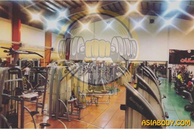 باشگاه بدنسازی اسکات