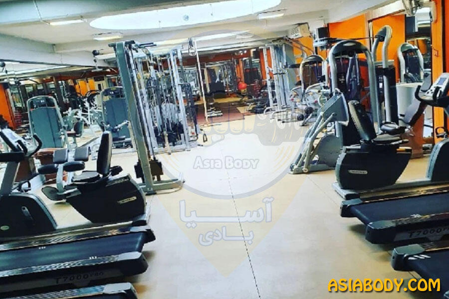 باشگاه آرتیمان2