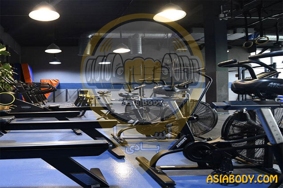 باشگاه اکسیژن باکس3