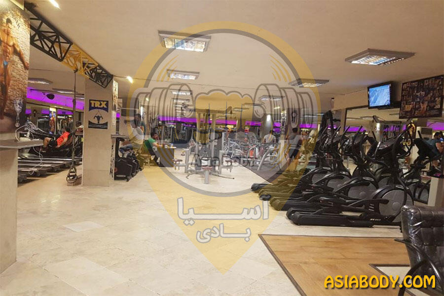 باشگاه بدنسازی دنیای قدرت3