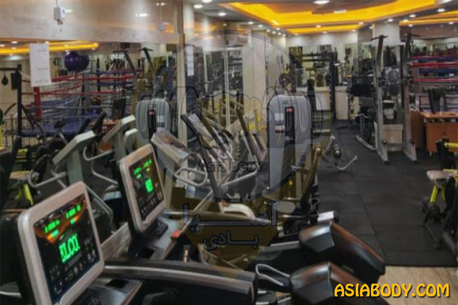 باشگاه دی