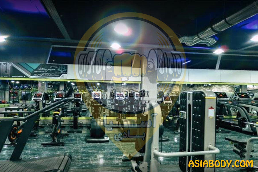 باشگاه راویس