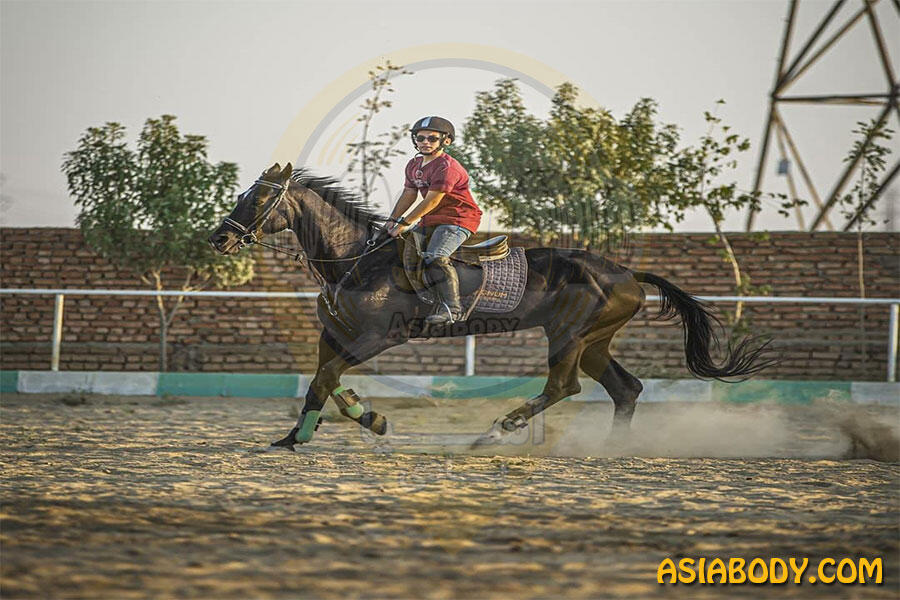 باشگاه سوارکاری آرام