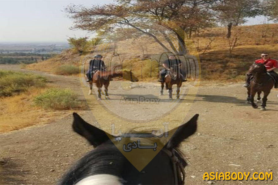 باشگاه سوارکاری ابرش